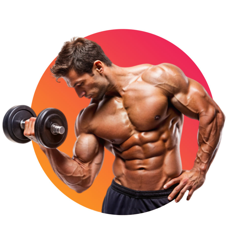 Massa Muscular